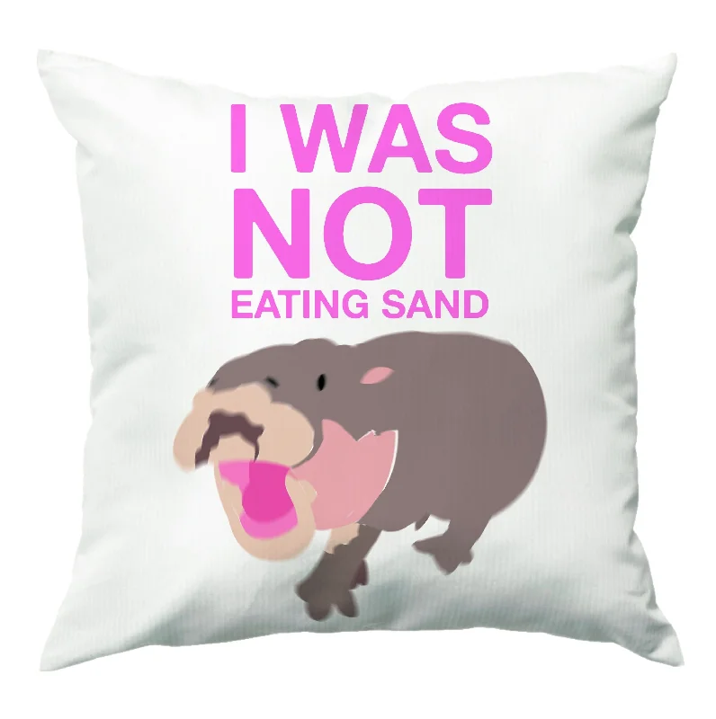 Act Now I Was Not Eating Sand Cushion